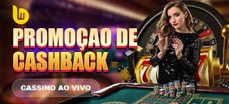 3333com